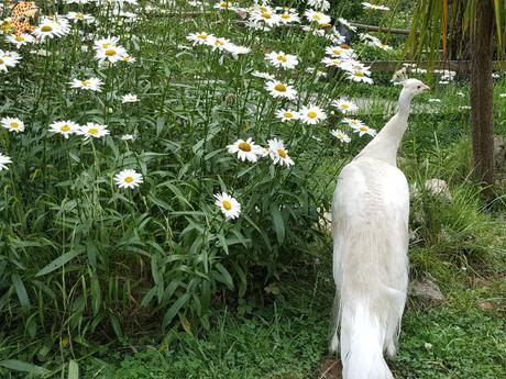 Norte de España con niños en 3 días: qué ver y qué hacer