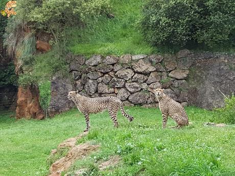 Norte de España con niños en 3 días: qué ver y qué hacer