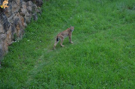 Norte de España con niños en 3 días: qué ver y qué hacer