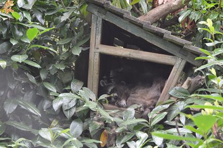 Norte de España con niños en 3 días: qué ver y qué hacer