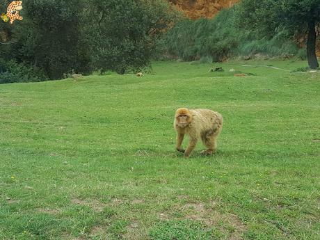 Norte de España con niños en 3 días: qué ver y qué hacer