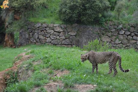 Norte de España con niños en 3 días: qué ver y qué hacer