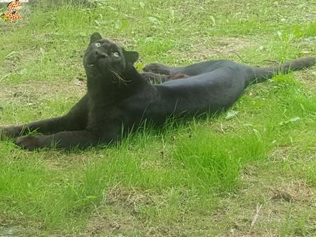 Norte de España con niños en 3 días: qué ver y qué hacer