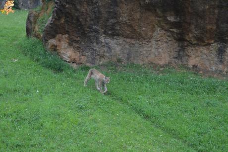 Norte de España con niños en 3 días: qué ver y qué hacer