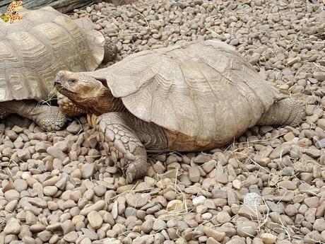 Norte de España con niños en 3 días: qué ver y qué hacer