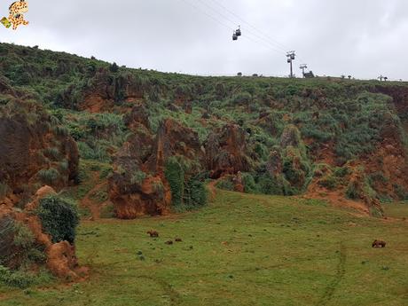 Norte de España con niños en 3 días: qué ver y qué hacer