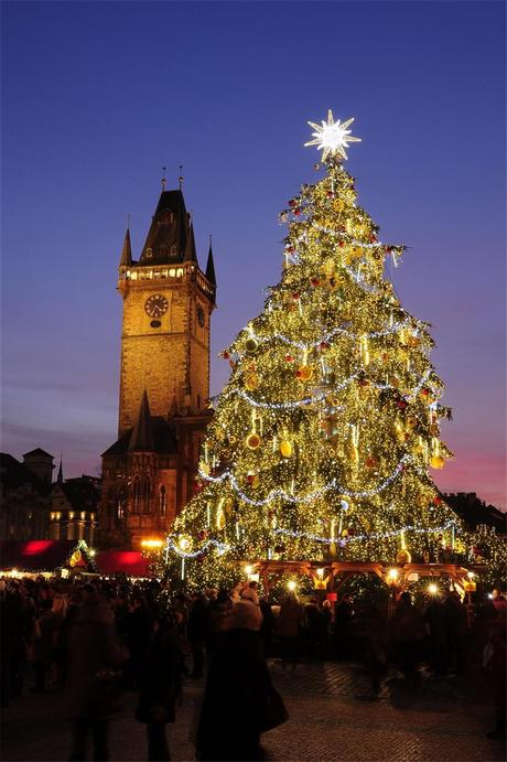 El Árbol como símbolo de la Navidad. El Árbol como símbolo de la Navidad.