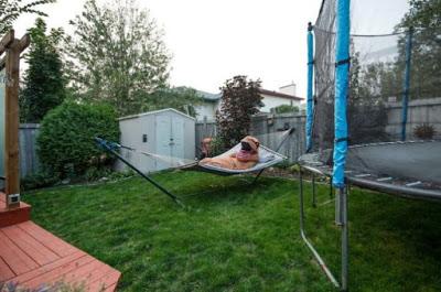 Utilizando el tirón de un tiranosaurio para vender una casa