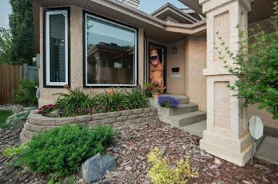 Utilizando el tirón de un tiranosaurio para vender una casa