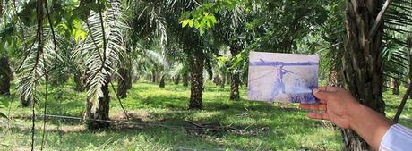 Proyecto de modificación de Ley de Tierras