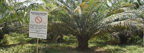 Proyecto de modificación de Ley de Tierras