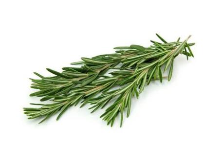 Artricenter: El romero, remedio natural para la fibromialgia