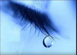 Miércoles Mudo Seguir Corriendo