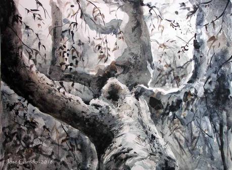 Árboles de diciembre. Paleta.