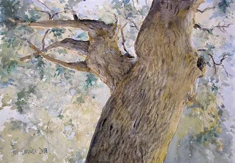 Árboles de diciembre. Paleta.