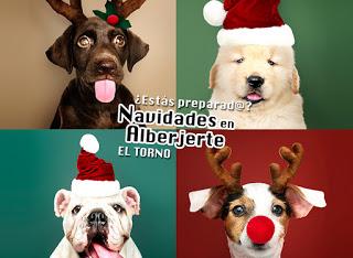 Programación y ofertas Navidades 2018-2019 en Alberjerte (Valle del Jerte)