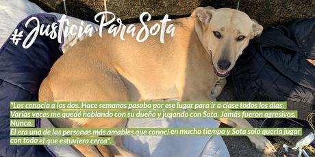 Sota, caballo, rey Sota, caballo, rey