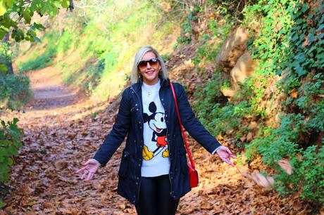 Mickey Mickey