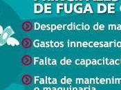 Cómo detectar superar crisis económica empresa