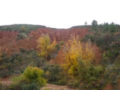 Fin del otoño en la Sierra Norte Fin del otoño en la Sierra Norte