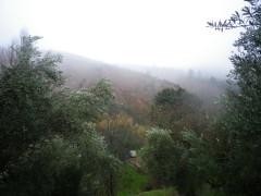 Fin del otoño en la Sierra Norte Fin del otoño en la Sierra Norte