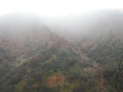 Fin del otoño en la Sierra Norte Fin del otoño en la Sierra Norte