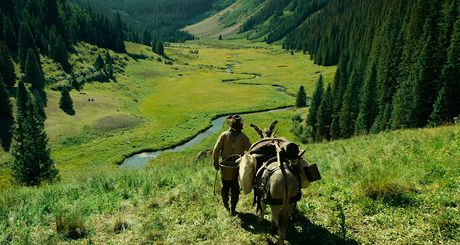 The Ballad of Buster Scruggs - 2018 The Ballad of Buster Scruggs - 2018