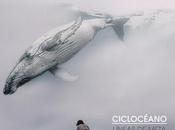 [Disco] Ciclocéano Líneas Meta (2018)