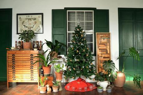 CÓMO DECORAR TU NAVIDAD CON PLANTAS Y OBJETOS ANTIGUOS