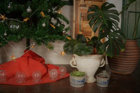 CÓMO DECORAR TU NAVIDAD CON PLANTAS Y OBJETOS ANTIGUOS