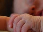 ¿Fui dueño elecciones?