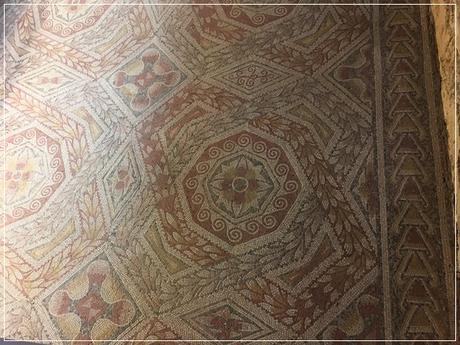 50 años de La Olmeda (II)