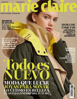 Revistas Enero 2019 (Regalos, Suscripciones y mes que viene)