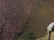 Junta autoriza pago millones euros ayudas