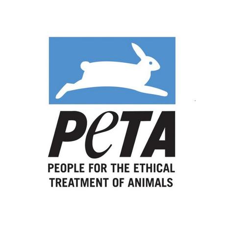 PETA exige a las feministas no consumir huevos “porque explotan a las gallinas”