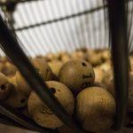 Lotería de Navidad para no estadísticos Lotería de Navidad para no estadísticos