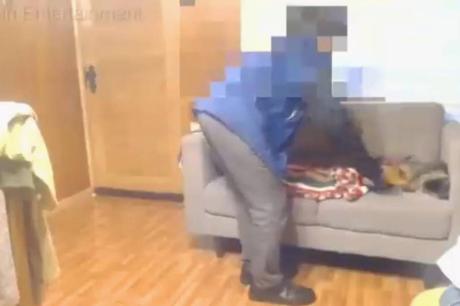 Impactante: Adolescente maltrató a su gato hasta hacerle perder la vida