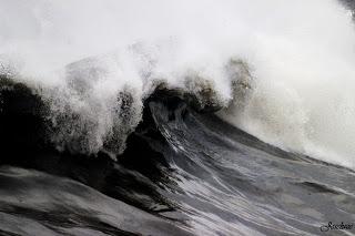 Traer (Emily Brontë)