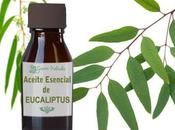 Artricenter: remedios caseros populares para combatir síntomas artrosis.