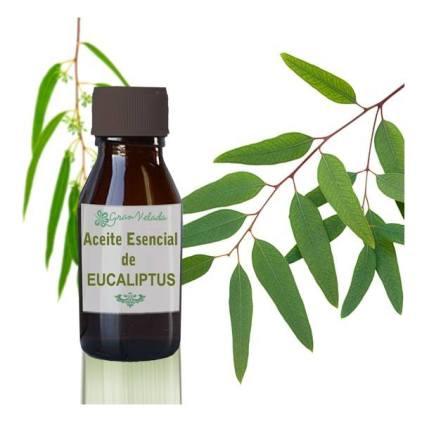 Artricenter: 3 remedios caseros populares para combatir los síntomas de la artrosis.