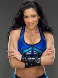 Parejas de la WWE que terminaron en la TV