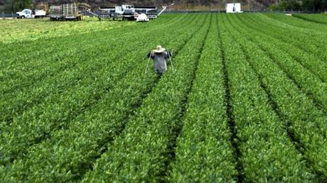 ¿Qué cambia en las ventas a Cuba con la Ley Agrícola de EEUU?