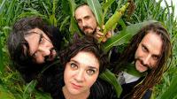 Zea Mays