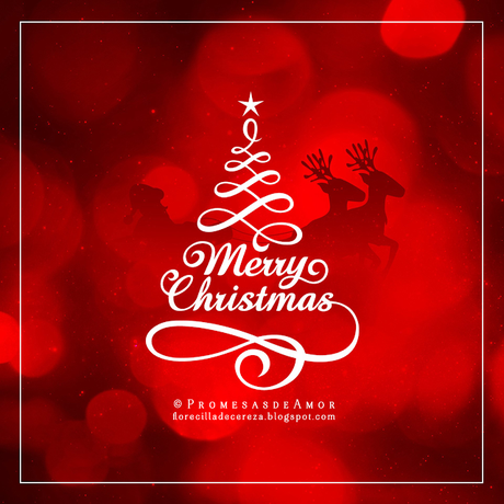 · ¡Feliz Navidad! ·