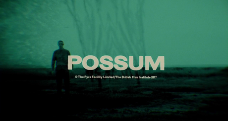 Possum - 2018