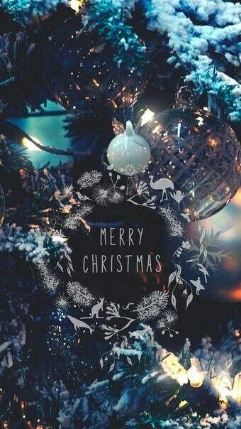 ~♥ Feliz Navidad