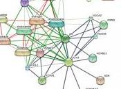 Presente Futuro Diagnóstico Cáncer Próstata