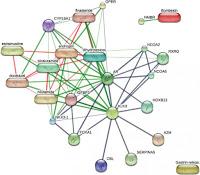 Presente y Futuro en el Diagnóstico del Cáncer de Próstata