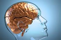 Los Diabéticos tienen una conectividad Cerebral Distinta