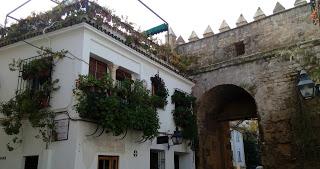 Córdoba verdiazul. La perla del sur.